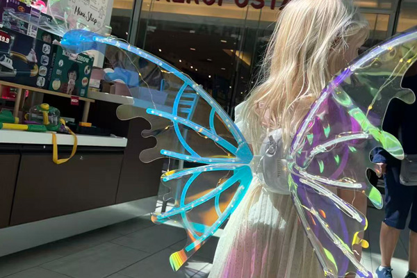 Case: Pretend Play Toys