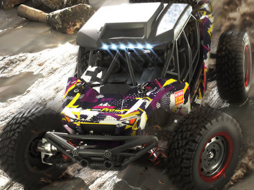 What are the characteristics of professional remote control car toys