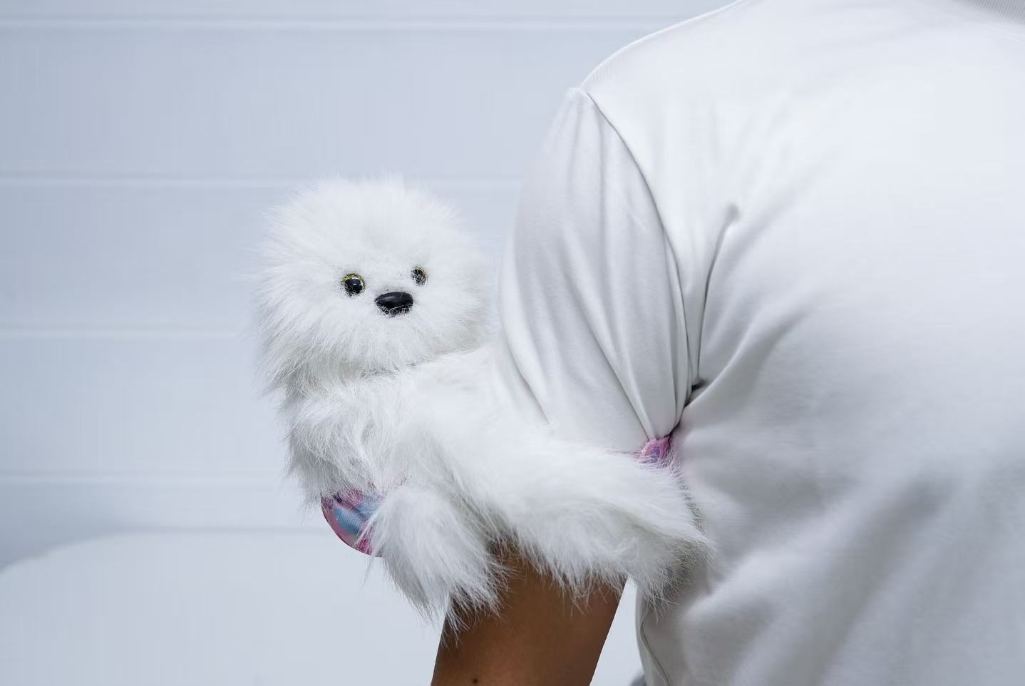 Interactive Companion Robot-Rocky